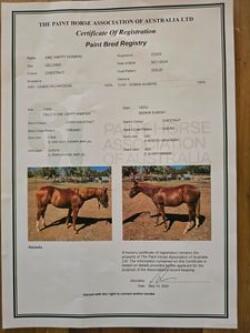 Listing image 1